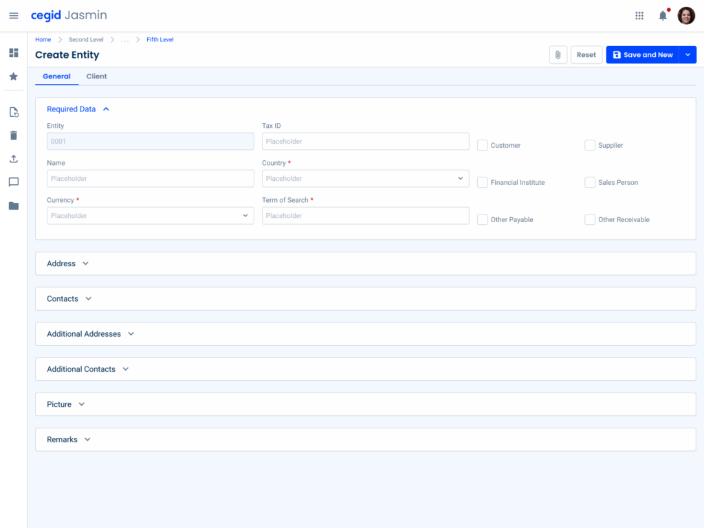 Two-Column layout applied in Create Entity form